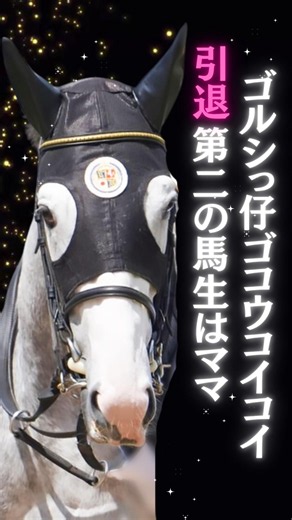 第二の馬生はママ!ゴルシっ仔のゴコウコイコイちゃん引退 #ゴールドシップ産駒 #ゴコウコイコイ #繁殖牝馬
