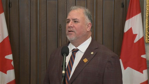 MPs Comment on New Auto Strategy