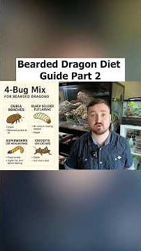 Bearded Dragon Diet Guide Part 2