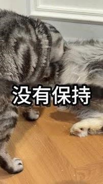 I even wonder if I've caught some superstition