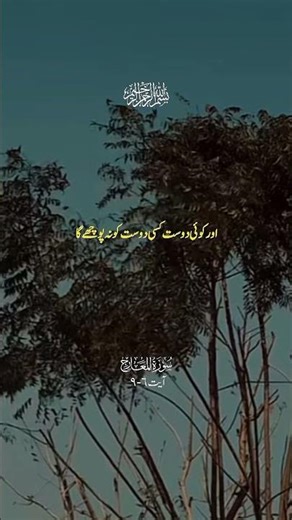 telawat E Quran translation in Urdu #viral #deeni #holybook #duet