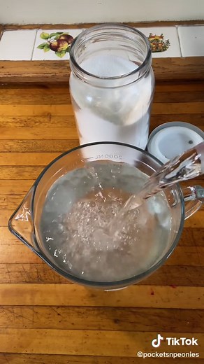 pocketsnpeonies on TikTok