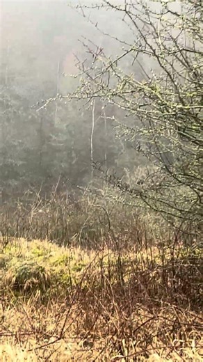 RAF Fauld the Fauld Disaster #fauld #RAF #urbex #urbanexploration #exporing