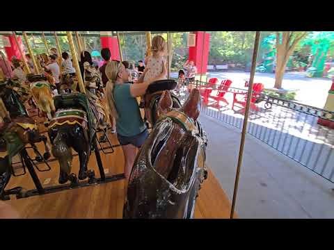 Columbus zoo carousel horse behind 1914 2025