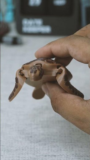 3D printing Articulated Sea Turtle