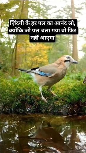 Zindagi ko achise jiye #shorts #motivation #inspiration #positivity