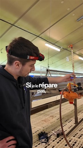 Arthur Flick on Instagram: "Si je ne répare pas, les 15 000 poules vont mourir dans 48h.” 👉 C’est volontairement exagéré… mais ce système est vital. Dans la continuité de la vidéo d’hier, je vous montre ici le régulateur de pression. Son rôle ? Récupérer l’eau du réseau et la distribuer à la bonne pression sur toute la ligne de pipettes, sur toute la longueur du bâtiment. Sans eau : ❌ pas d’abreuvement ❌ pas de confort ❌ pas de ponte Dans ce poulailler, il y a 12 régulateurs. Donc oui, si un ca
