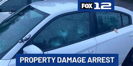 Police: Man admits to damaging car windows, flower pots in Oregon City