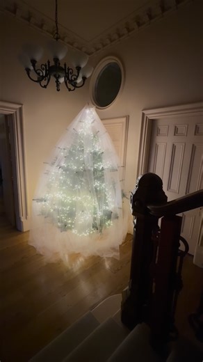 Stacey Dooley on Instagram: "‘Dearly beloved…’ 🕊️"