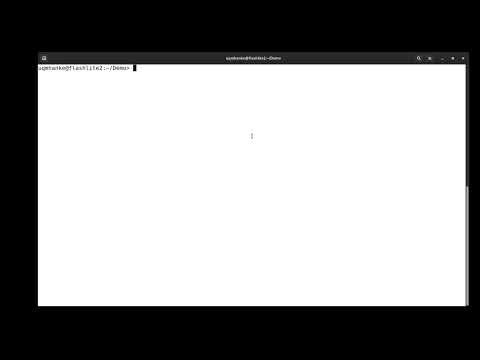 Queuing system and commands: video 1