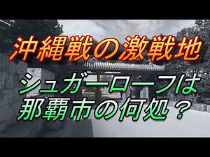【沖縄戦の激戦地】シュガーローフは何処？那覇市・安里高地とは、真嘉比の森・ホーシュートは、何処か、沖縄戦を探る・おもろまち駅周辺は昔・戦場だった・・・＆来週の配信報告