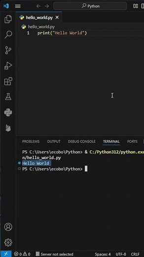 Python on Speed ⚡: 2. Hello World Program in Python