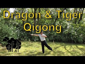 Dragon & Tiger Qigong 2025 with music