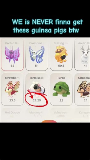 Adopt Me Trading: Is the Guinea Pig Unobtainable?