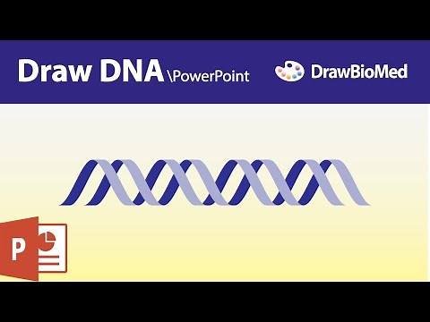 Draw DNA in PowerPoint | Graphical Abstract in PowerPoint | Scientific Illustration
