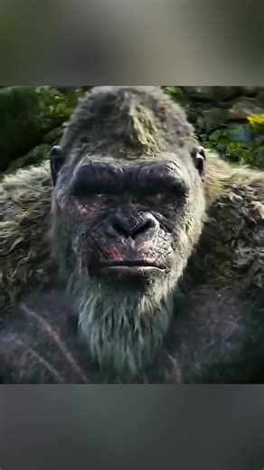 King Kong_s Painful tooth leads to a war in the underworld #100kviews✔️ #hollywoodmovie #foryoupage❤️❤️