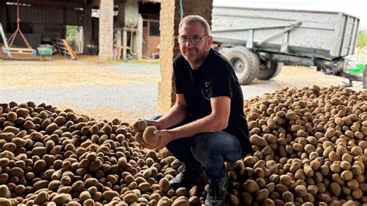 Un agriculteur tournaisien liquide ses pommes de terre à vingt centimes le kilo : 'Je ne voulais surtout pas les laisser au champ' - RTBF Actus