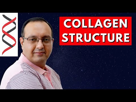 Collagen Structure - Protein Biochemistry