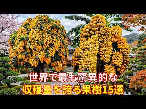 信じられないほど大量の実をつける15の果樹! 世界で最も驚異的な収穫量を誇る果樹