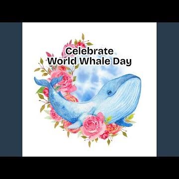 Riding on a Whale