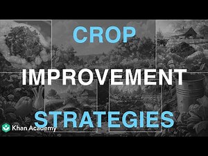 Crop improving strategies | Middle School Science| Khan Academy