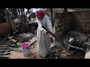 Algérie : des agriculteurs ont tout perdu dans les feux de forêts