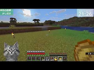 Minecraft test (Java Edition 1.21.11)