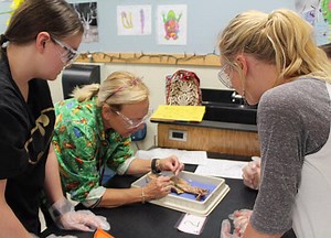 STEAM, STEM | Online Courses For Teachers | LAUSD Classes