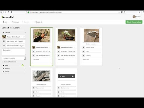 How to Use iNaturalist's Photo and Sound Uploader
