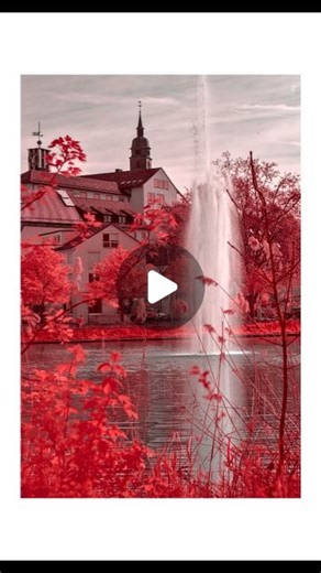 Erik | Colorful Infrared Photography Sony Alpha 58 #infrared #infrarot #irphotography #irfotografie #Karlsruhe #sony #sonyalpha... | Instagram