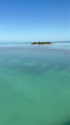 . Breathtaking Little Duck Key | Florida Keys’ A hidden paradise with Crystal Clear Escape