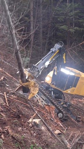 Ryer Becker on Instagram: "While the cutting heads found on feller bunchers can vary, the most popular setup used in the western United States is a disc saw rotating at around 1000 rotations per minute. These disc saws can be +50” across and are equipped with replaceable carbide or hardened cutting teeth. - Once “armed”, this exposed saw blade rotates constantly while operating, lending itself to another common name for this cutting head, the hot saw. The distinct sound this saw makes when cutti