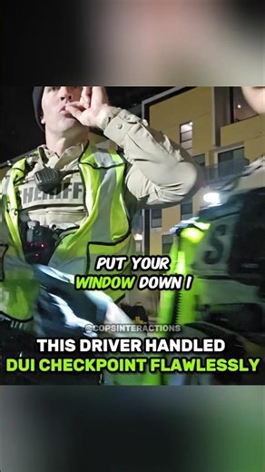 This Driver Handled DUI Checkpoint Flawlessly