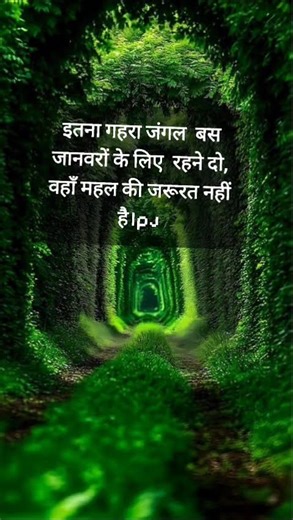 Beautiful Trees Should be Saved For Life