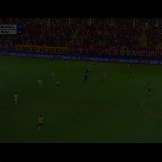 oq ta acontecendo com a base do flamengo #flamengo #basedoflamengo #viralisa