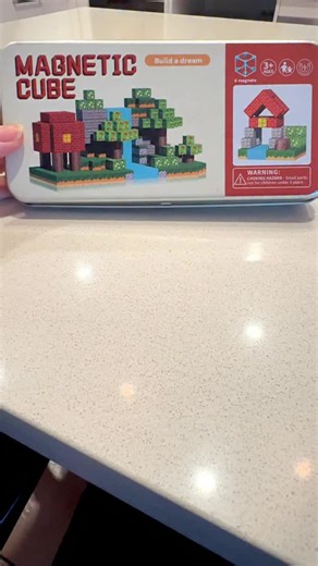 Magnetic block set! This toy has been VERY popular with my OT kids!...