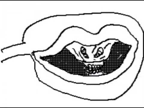 Uncle Grandpa, We ran out of oatmeal!