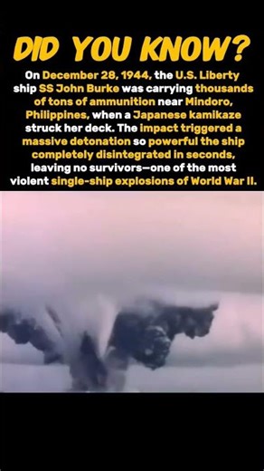 The biggest Explosion Ever caused by kamikaze #history #ww2 #war #shorts