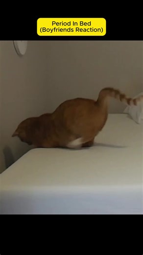 #PERIOD IN BED (BOYFRIENDS REACTION) Part (5) | period