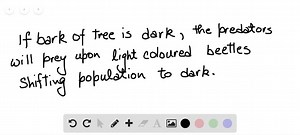 In a hypothetical population of beetles, there is a wide variety of color, matching the range of coloration of the tree trunks on which the beetles hide from predators. The graphs below illustrate four possible changes in the beetle population as a result of a change in the environment due to pollution that darkened the tree trunks. What would be the most likely change in the coloration of the beetle population after pollution and why? a. The coloration range shifted toward more lightcolored bee