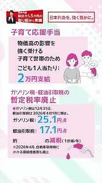 就任から3か月の高市内閣の取り組みと実績【LDP TOPICS】1分解説