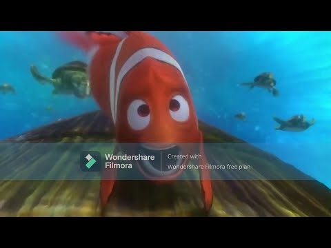 Sea Turtle Ride (Ruan De Jager Crossover)