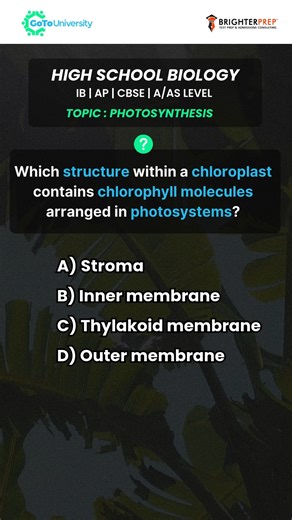GoToUniversity | Study Abroad on Instagram: "Test your Biology understanding across cell structure, biomolecules, enzymes, genetics principles, human physiology, plant physiology, ecology, and basic biotechnology—the topics students most often struggle to apply in exams. Build concept clarity, application skills, and exam confidence with questions designed around real exam patterns. Comment your final answer and tag a friend revising Biology. 👉 For 1-1 Biology classes, visit gotouniversity.com