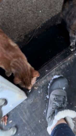 Heartwarming Good Morning Moments with Mom and Babies