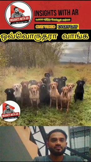 🖖கடவுளே! இதென்ன சத்திய சோதனை | #shorts #fypシ #dog #fyp #funny #fypシ゚viral #yt #short