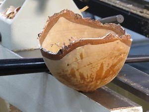 Ellsworth 12 Minute Bowl