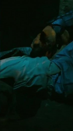 Sofia's Fierce Dogs in John Wick 3 | Epic Action Scene🔥