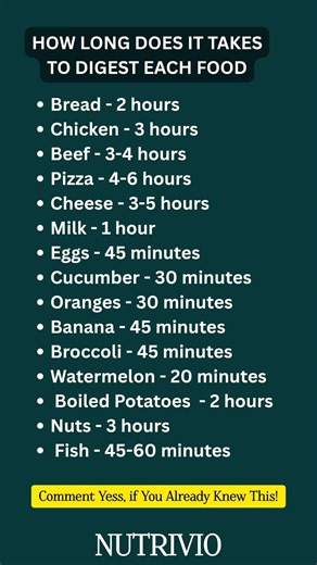 How Long Does It Take to Digest Food? Food Digestion Time Explained | What Digests Fast & Slow