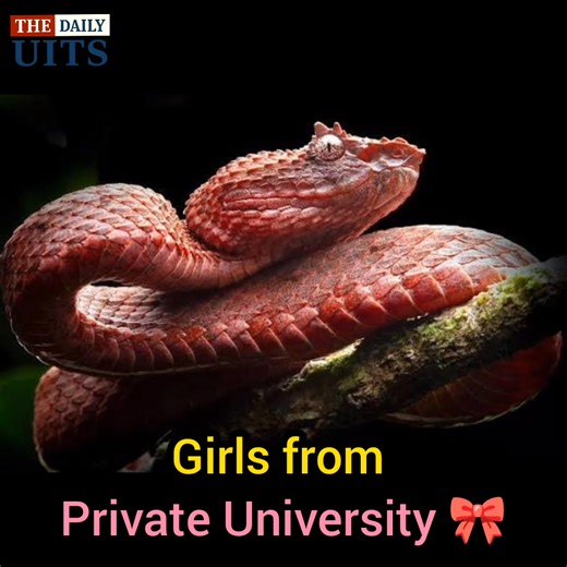 Mention deo . #UITS | The Daily UITS