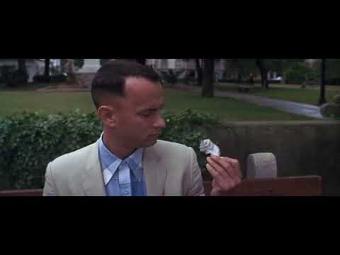 Forrest Gump : Opening Scene ( 1994 ) By Robert Zemeckis